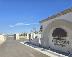 ๐ง๐ต๐ฒ ๐ข๐ฎ๐ธ๐ ๐ผ๐ป ๐๐ฟ๐๐ฎ๐ป