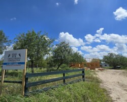 ๐ฅ๐ฎ๐ป๐ฐ๐ต ๐ถ๐ป ๐ ๐ถ๐๐๐ถ๐ผ๐ป